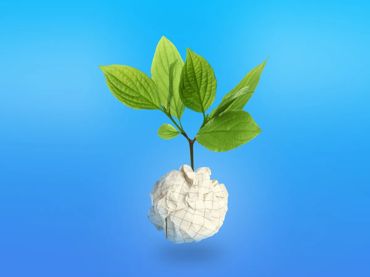 ISO 14001 Çevre Yönetim Sistemi Danışmanlığı