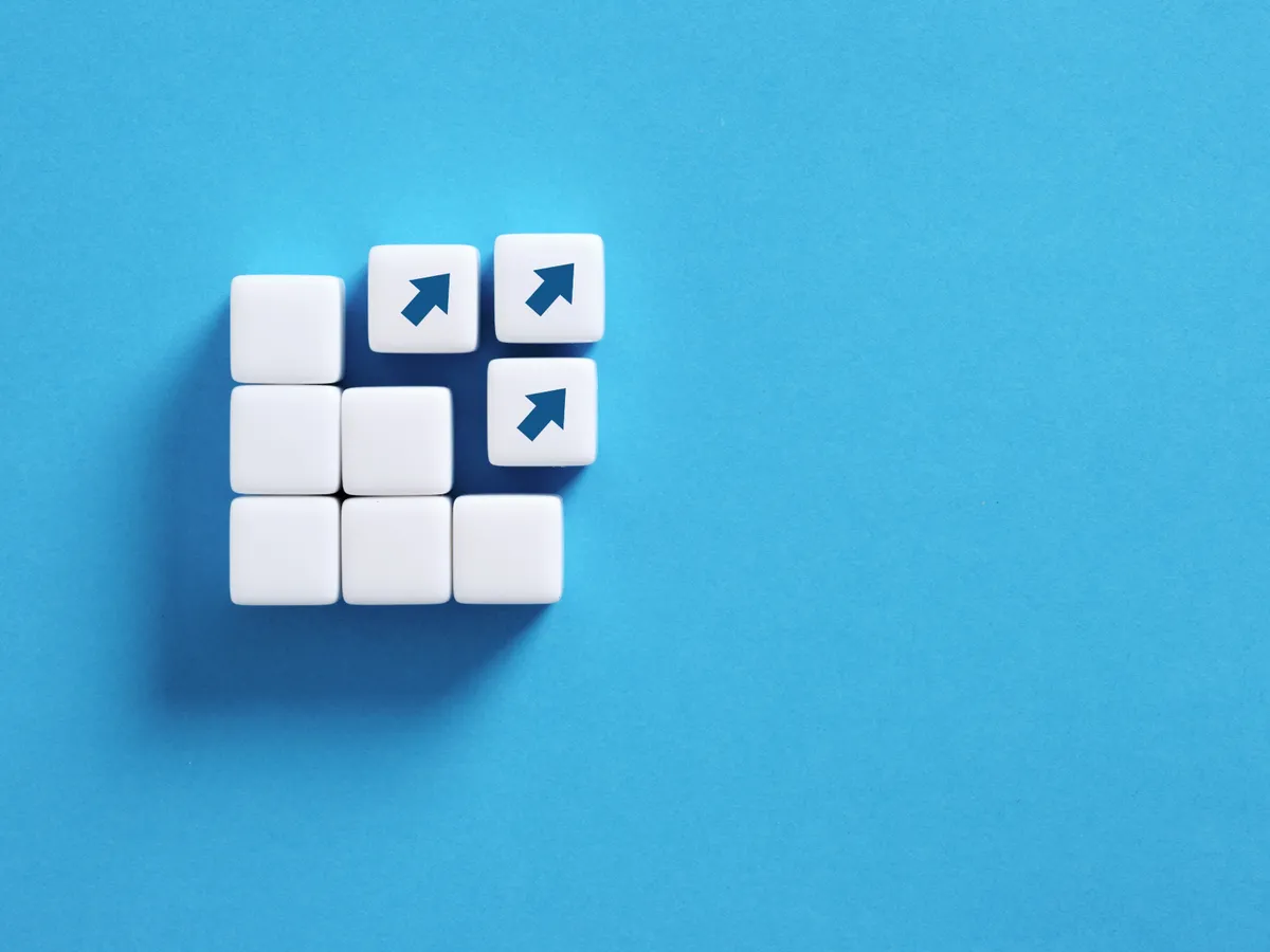 Denetim ve Sistem Destek Hizmetleri